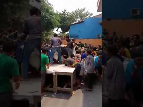 为了抢祭品 人可以多疯狂 mp4