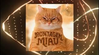 MONTAGEM MIAU (Slowed)