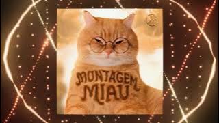 MONTAGEM MIAU (Slowed)