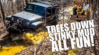 Trees Down Stinky Mud and ALL FUN! JKU JEEP Mark Twain national Forest, Poplar Bluff, Missouri DJI
