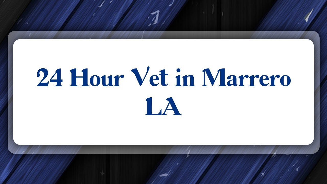 Top 10 24 Hour Vet In Marrero LA YouTube 
