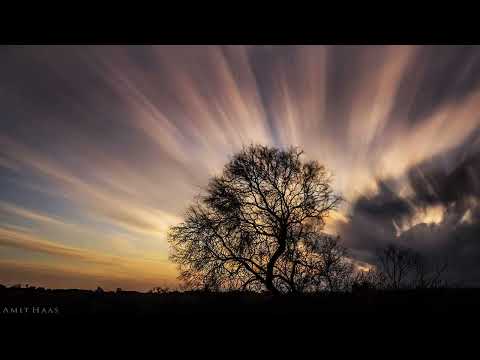 נקודה של אמונה ורפואה שיעור קצר במסיבת הודיה לה יתברך של אחד משומעי השיעורים הי ו 