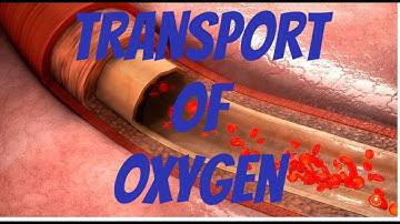 Transport of oxygen |physiology|simplified|easy|fast learning