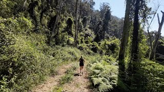 Exploring UTA100 route in Blue Mountains