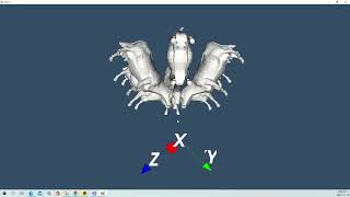VTK Example - WalkCowB - Cxx