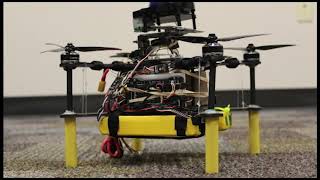 Mechatronics Senior Design Fall 2018, Team SOAR Long