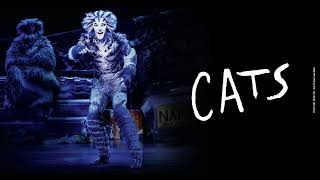 "Journey To The Heavyside Layer" from Cats - Karaoke Track
