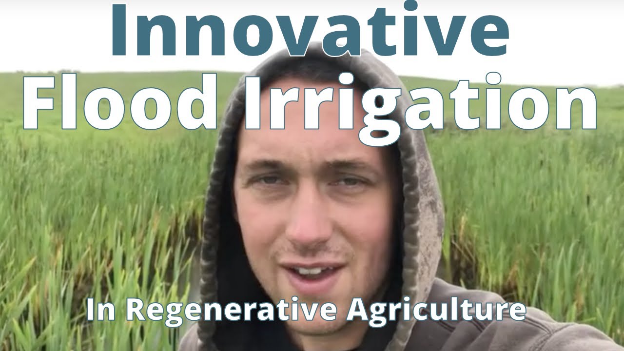Innovative Flood Irrigation In Regenerative Agriculture YouTube