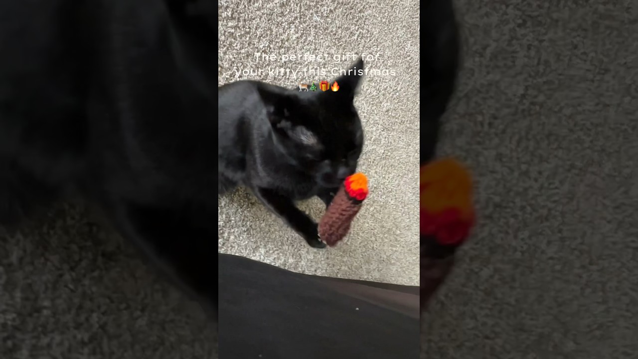 High Times with Kitty: The Ultimate Catnip  Toy 