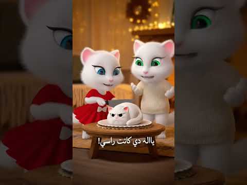 بووو القط ة الصغيرة اتصدمت بطريقة مش متوقعة كيك قطه قطط مضحكه مقالب قطط مياو  