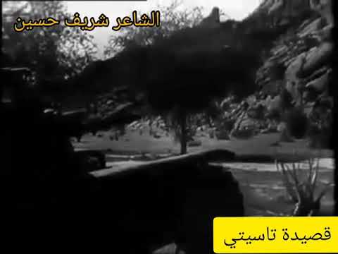 قصيدة تاسيتي الشاعر شريف حسين