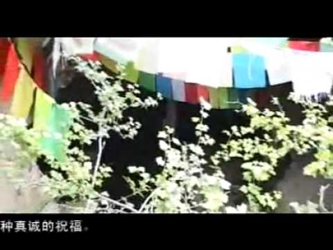 Tibetan Culture flourishing (Don Nyi) #581