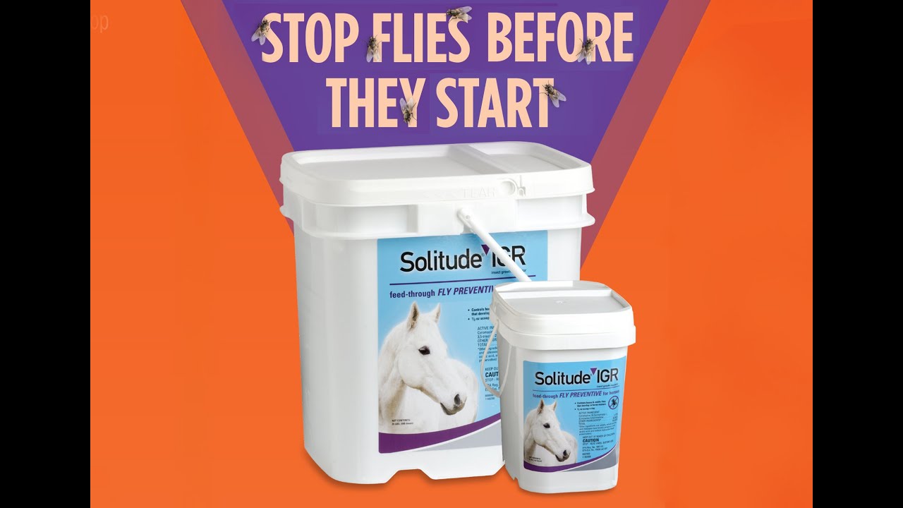 Solitude IGR Feed Through Fly Control Pellets - YouTube
