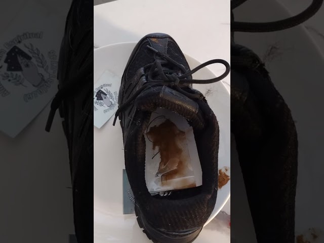 Que no pueda vivir sin ti