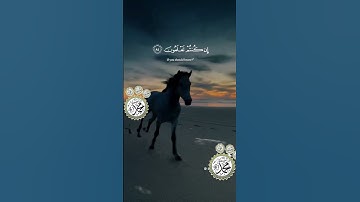 #اجر #دويتو #اذكار #اكسبلور #تيك_توك #السعودية #ترند #المغرب #لايك