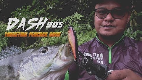 Targeting Peacock Bass with the BONE Dash 90S
