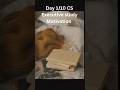 📚Day 1/10 cs executive study motivation🎯✅#studymotivation #csexecutive