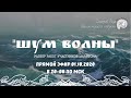 Разбор работ участников марафона "Шум волны"