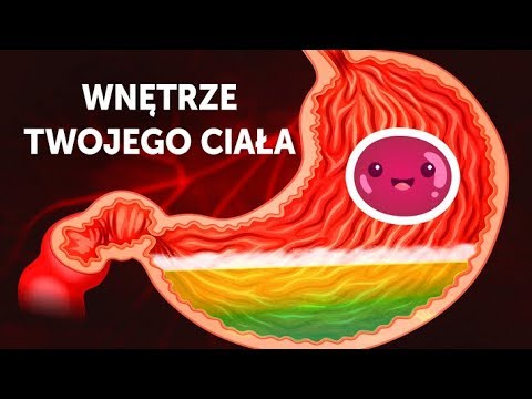 Podróż w głąb ciała