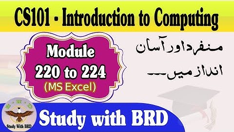 CS101 Lecture 220 to 224 | MS Excel | Introduction to Computing | CS101 Short Lectures