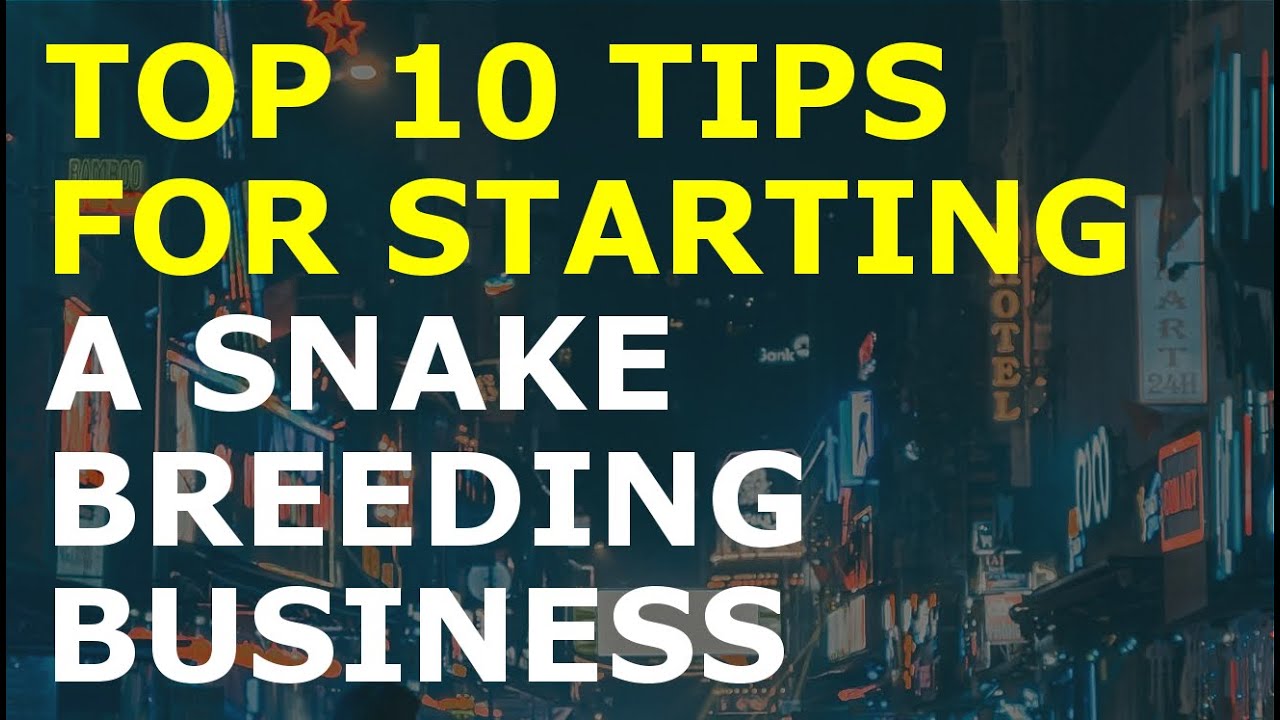 How to Start a Snake Breeding Business | Free Snake Breeding Business ...
