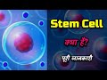 What is stem cell with full information  hindi  quick support