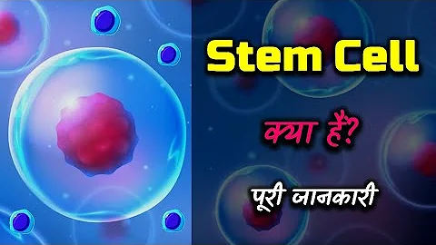 What is Stem Cell With Full Information? – [Hindi] – Quick Support - 天天要聞