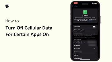 How To Turn Off Cellular Data For Certain Apps On iPhone 2025 | Save Data & Control App Usage