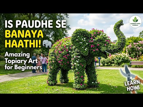 01/365 Day || How to Make Elephant Shape Plant | Topiary Art for Beginners Atal park karnal