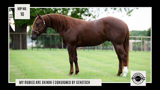 Hip No. 10 by GeneTech