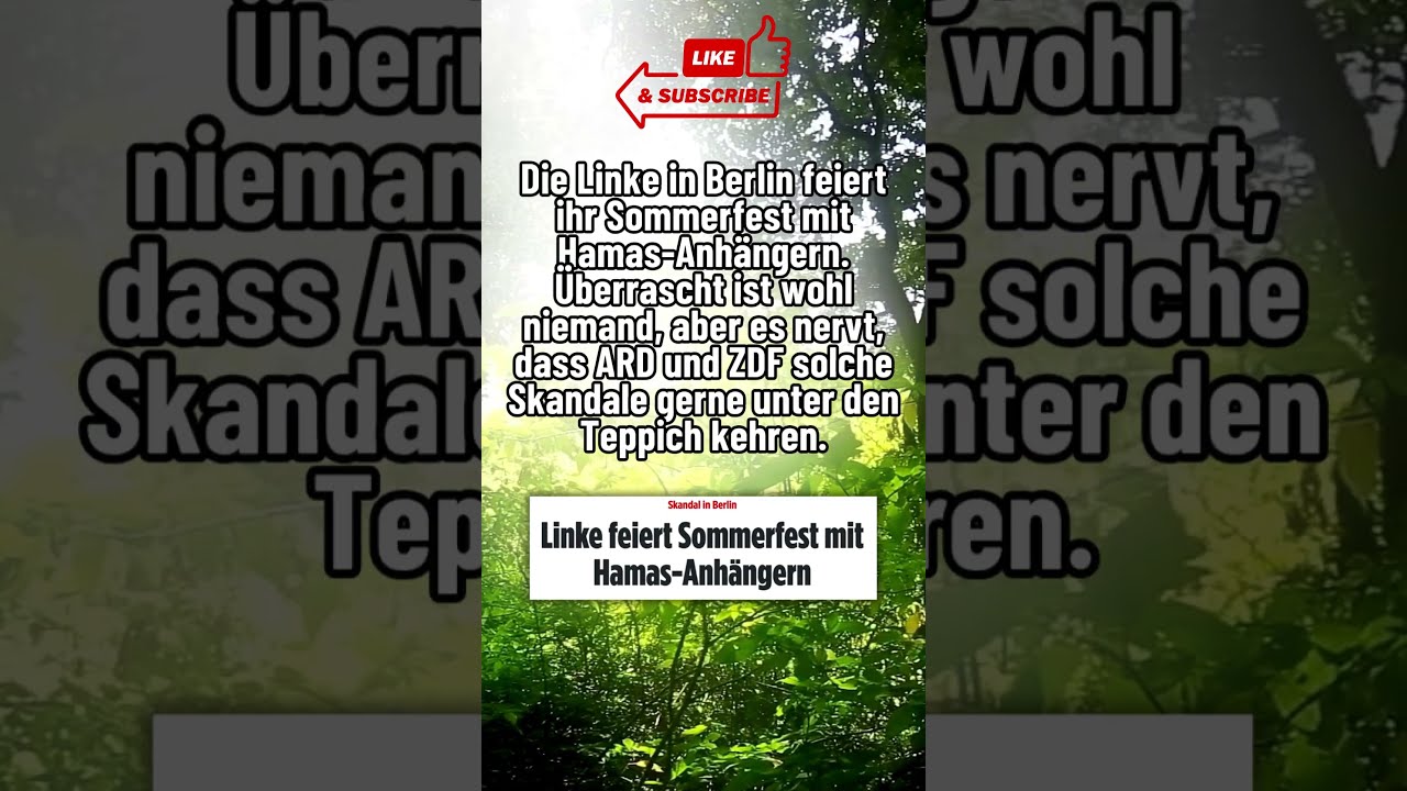 Kein Skandal Im RR Shorts Shortsfeed Shortvideo Afd Politik Deutsch Foryou Fyp Links