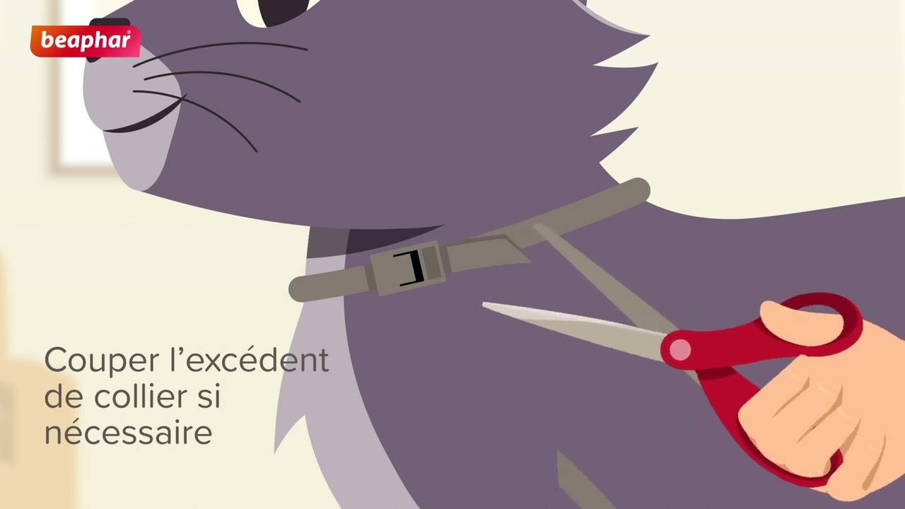 Comment appliquer un collier antiparasitaire ou calmant sur mon chat ?