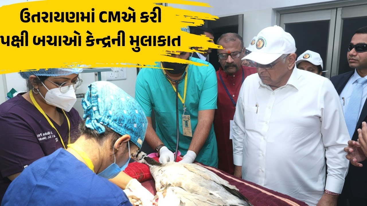 Patangથી પક્ષીઓને બચાવવા Gujarat CM Bhupendra Patelનો પ્રયાસ