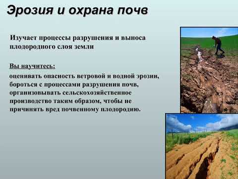 Кафедра почвоведения