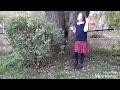 30 октября 2018 г.