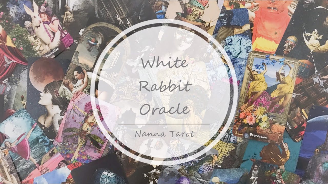 White Rabbit Oracle 開箱 🥀 白兔神諭卡 I • White Rabbit Oracle I // Nanna Tarot - YouTube