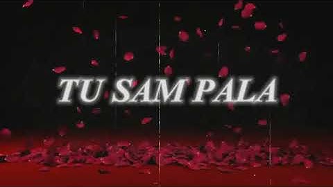 Jelena Karleusa - Golube [ Lyrics Video | Album || Zmija ] AI