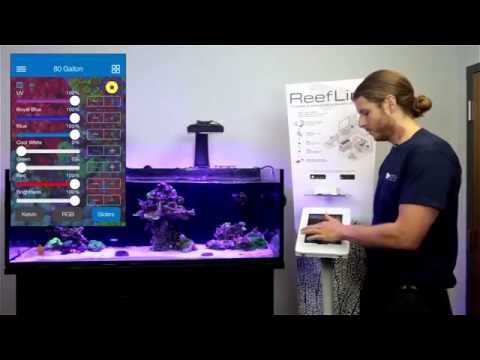 EcoSmart Live iOS Overview