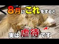 【超危険】猫が暑がっている時に見せるサイン10選