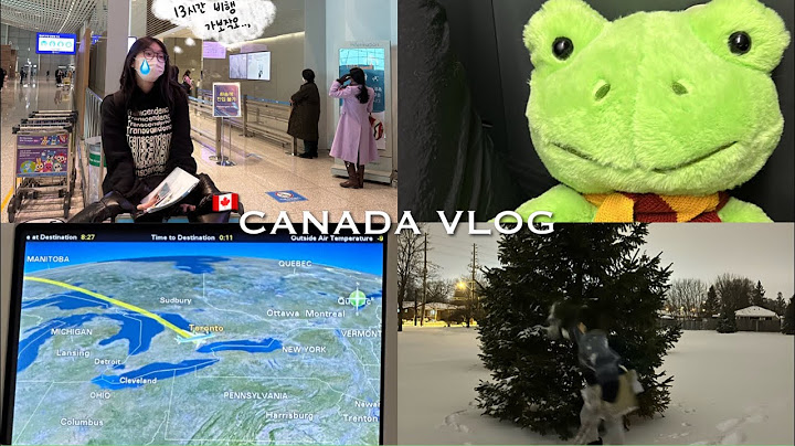 🇨🇦 저.. 캐나다가요! | 띄엄띄엄 토론토 일상 브이로그 | 유학생 Vlog | 출국 브이로그