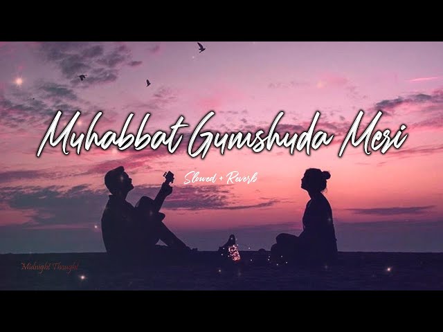 Muhabbat Gumshuda Meri🎵Tu Ibtida💕[OST]  | Slowed Reverb | Midnight Thought class=