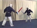 Yoseikan budo  techniques de combat