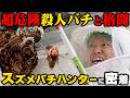 【職業体験】この時期急増する恐怖のサツ人バチを駆除!スズメバチハンターの1日に密着したら危険すぎた…