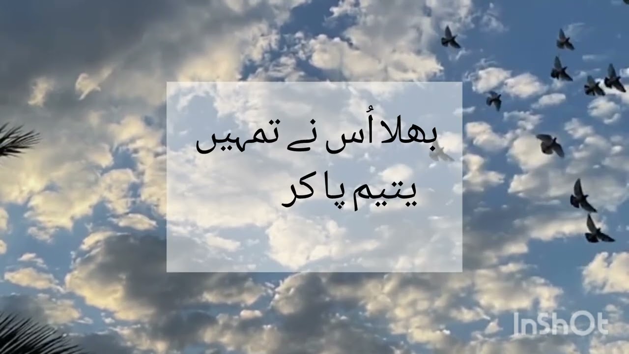 Surah Duha ...not lose hope