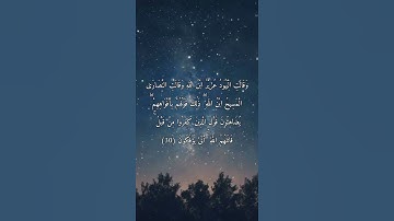 الآية (30) والآية (31) من سورة التوبة