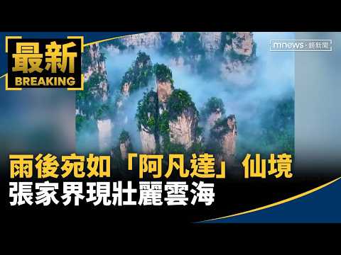 Early Autumn Rain Reveals "Avatar" Wonderland: Zhangjiajie's Spectacular Sea of Clouds | #MirrorM...
