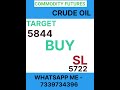 EVENING TRADES IN COMMODITIES