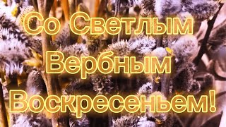 Вербное Воскресенье! Красивое поздравление с Вербным Воскресеньем 2023!