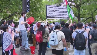 Dozens arrested after proPalestinian demonstrators rally at Art Institute of Chicago