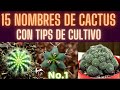 NOMBRES DE CACTUS No.1  || HUERTO CITADINO